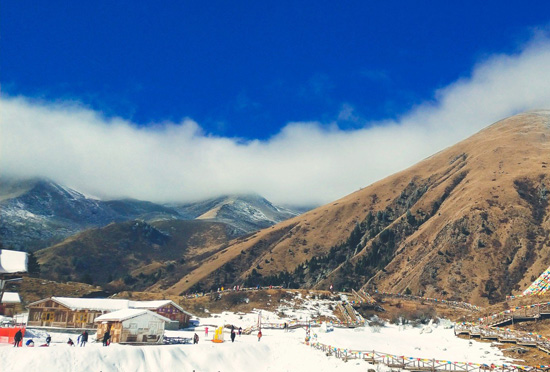 鹧鸪山